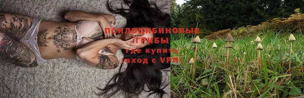 стаф Верхнеуральск